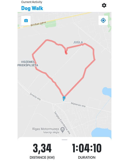 #sirsnīgapastaiga 2021 konkursa rezultāti