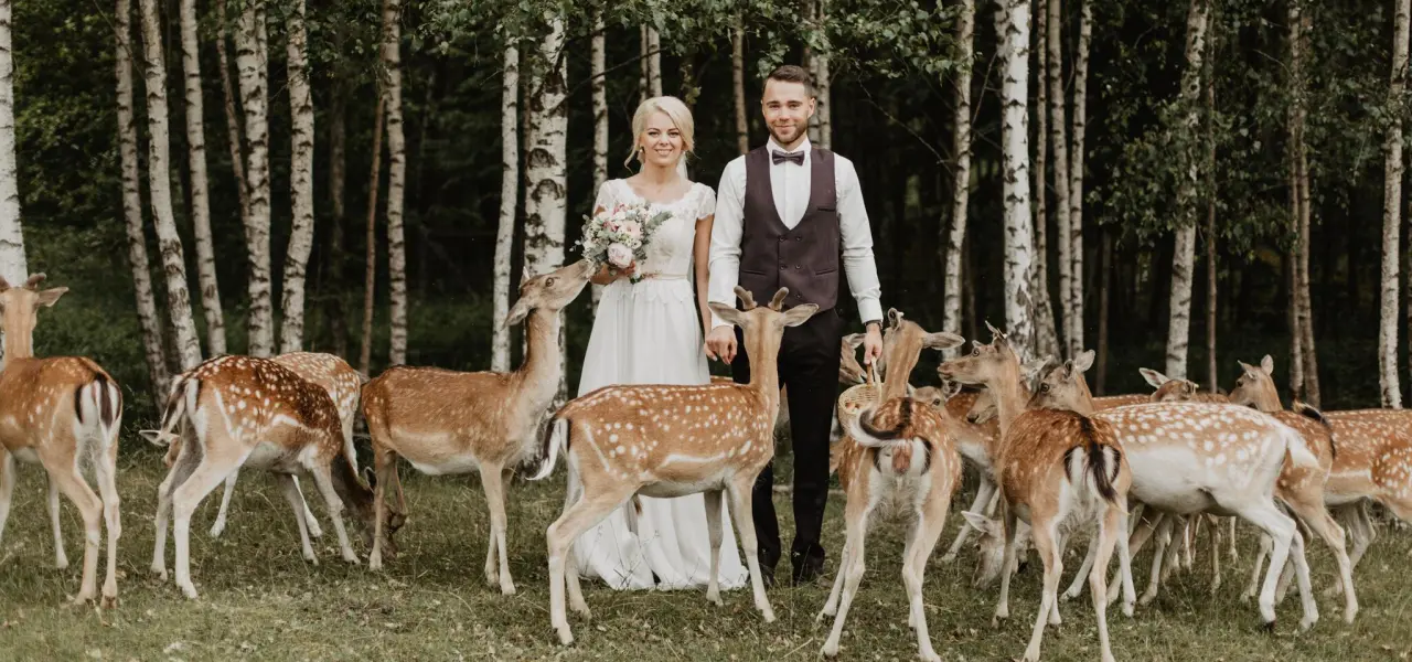 Netradicionālas laulību ceremoniju vietas