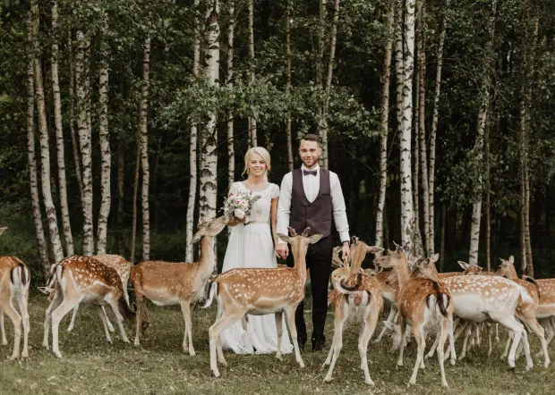 Netradicionālas laulību ceremoniju vietas