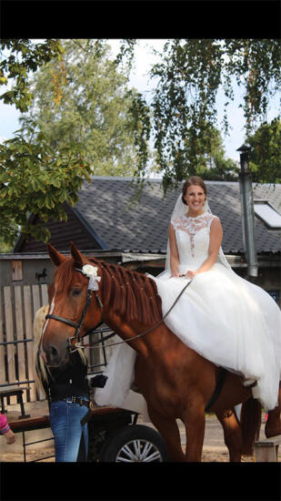 Jātnieku sporta klubs Īriss