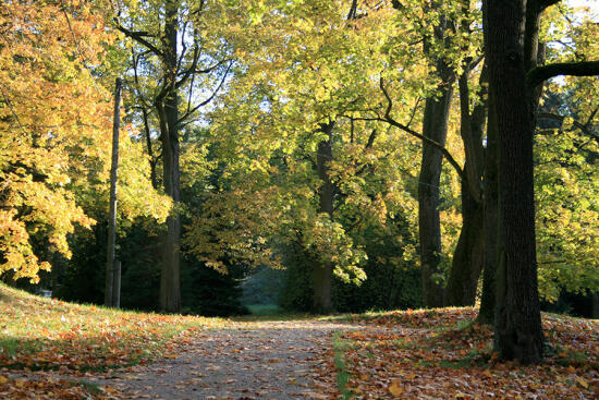 Latvijas Universitātes Botāniskais dārzs