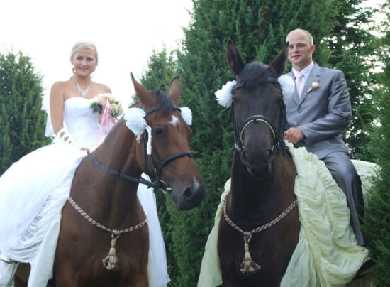 Romantiska izjāde un fotosesija ar zirgiem