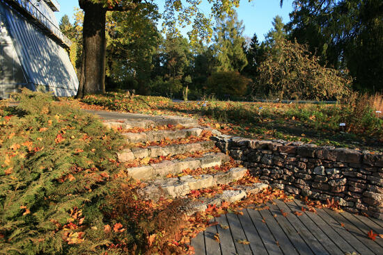Latvijas Universitātes Botāniskais dārzs