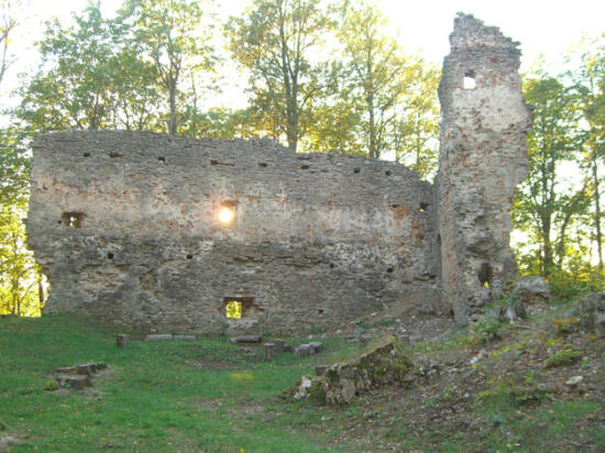 Gaujienas viduslaiku pilsdrupas un muižas ansamblis
