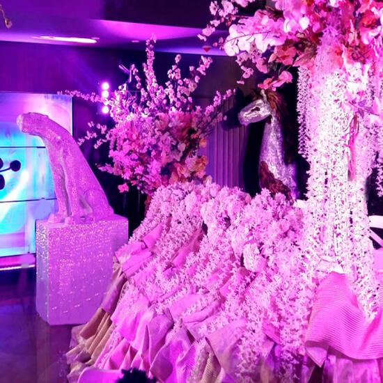 7 Sky Event Agency