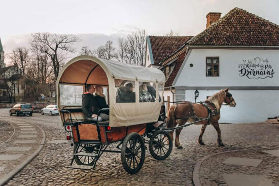 Zirgi Kuldīgā