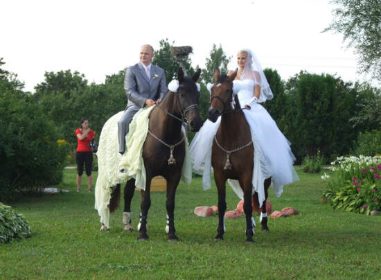 Romantiska izjāde un fotosesija ar zirgiem