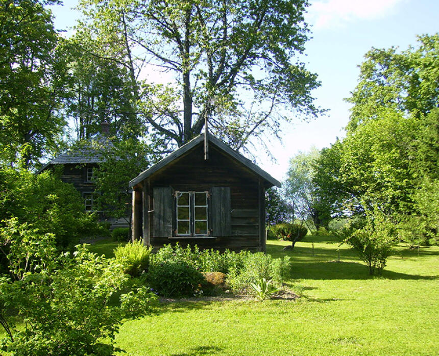 Rumbiņi