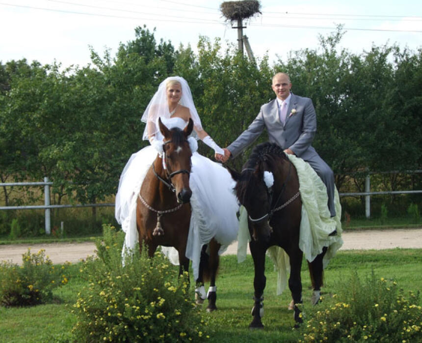Romantiska izjāde un fotosesija ar zirgiem