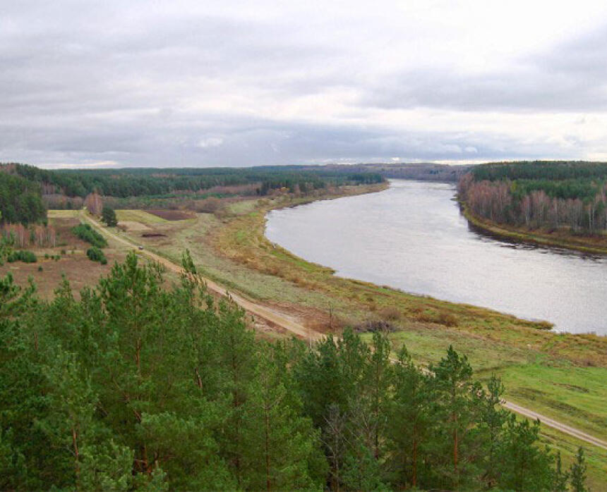 Vasargelišķu skatu tornis