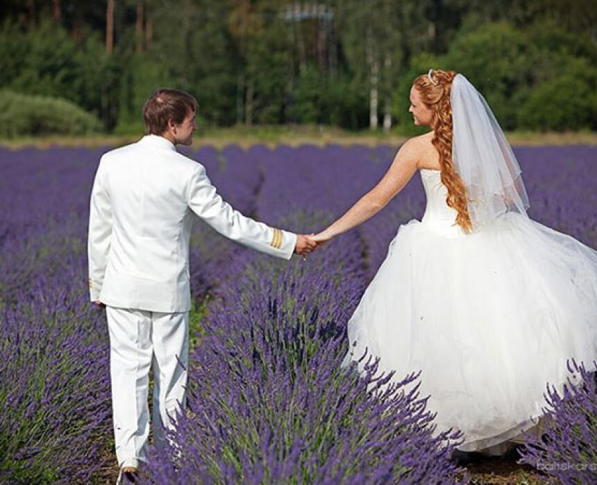 Lillas Lavender
