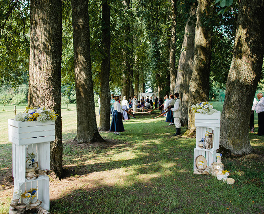 Auči