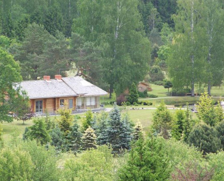 Kalsnavas arborētums