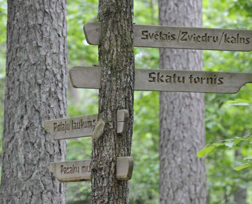 Tērvetes dabas parka skatu tornis