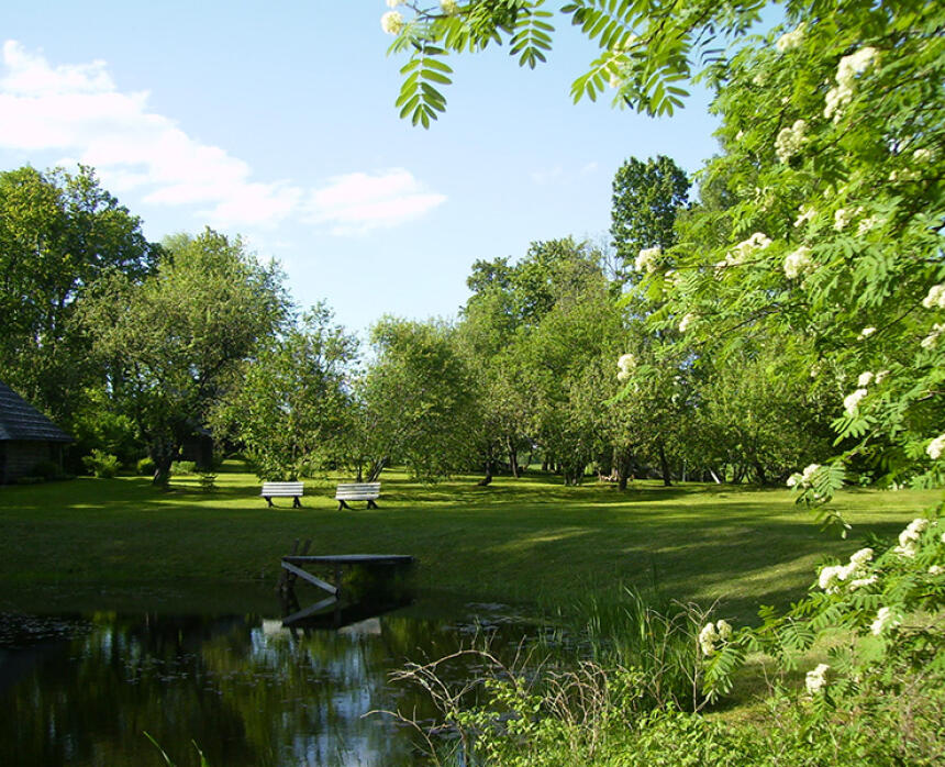 Rumbiņi