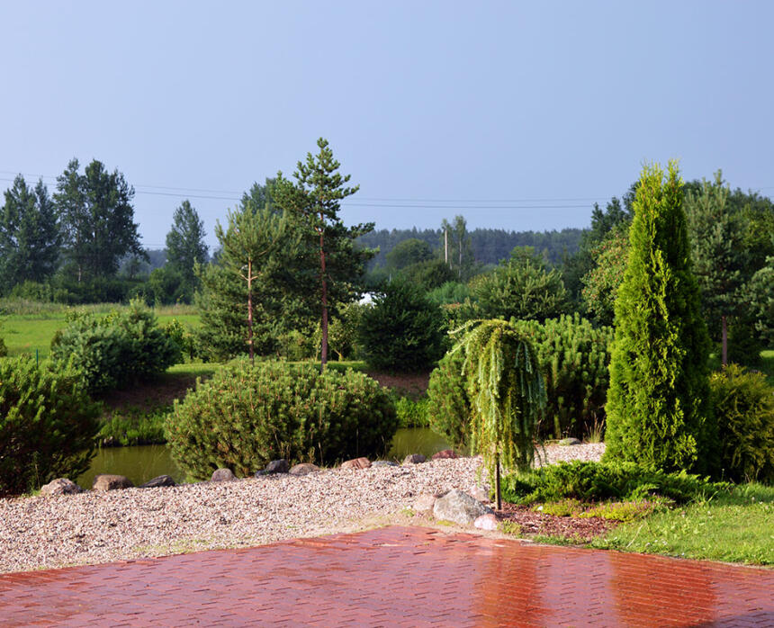 Līgas