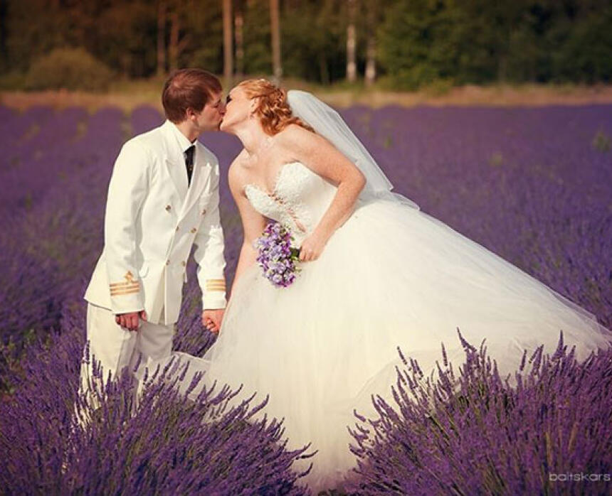 Lillas Lavender