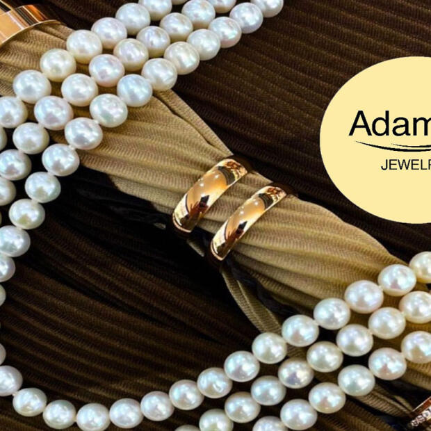 ADAMOS ROTAS