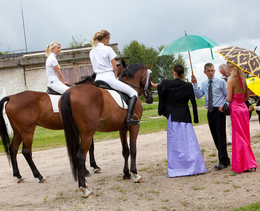 Jura staļļi