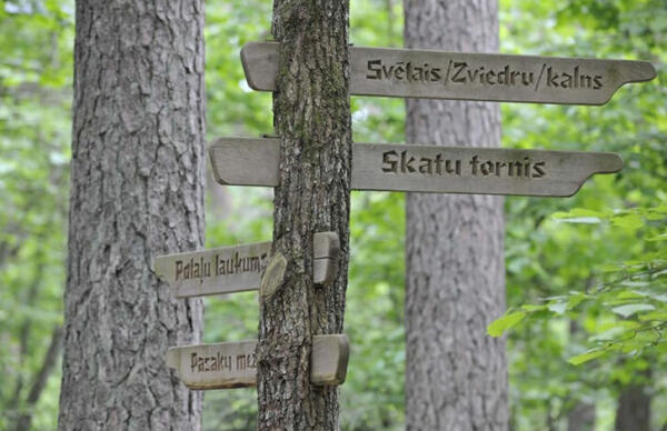 Tērvetes dabas parka skatu tornis