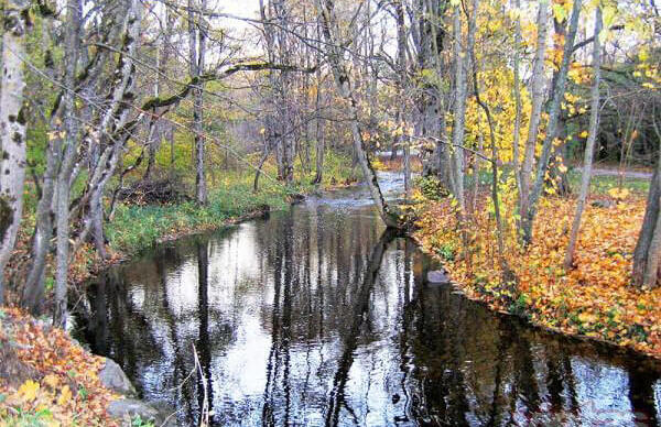 Kalnsētas parks