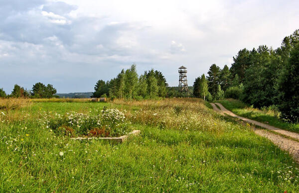 Vasargelišķu skatu tornis