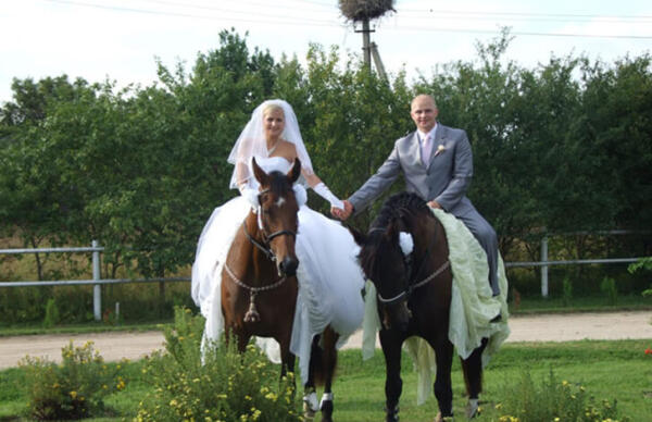 Romantiska izjāde un fotosesija ar zirgiem