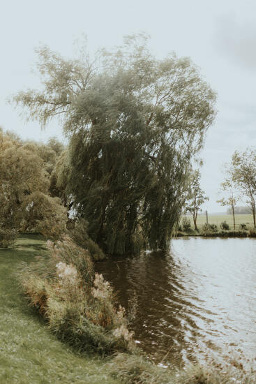 Kāzu stāsts: Līva un Dāvids