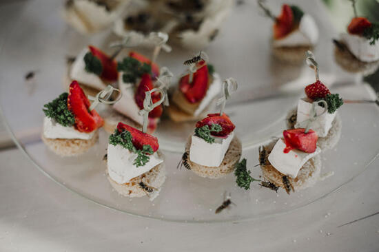 Kāzu stāsts: Elīna un Elvijs